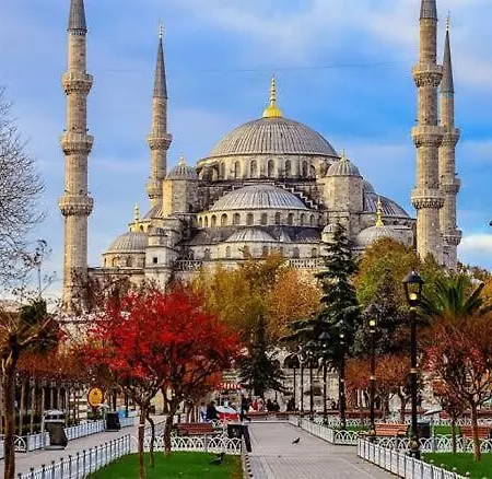 Lejlighed Pink Old 1