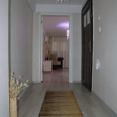 Erkul Old 1