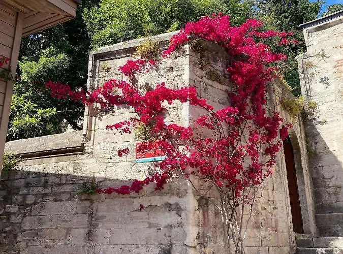 Apartment Pink Old 1